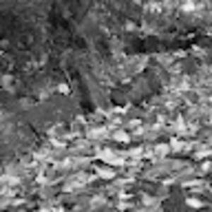 Meet your Posher, Gavin